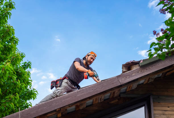 Best Skylight Installation and Repair  in Leisure City, FL